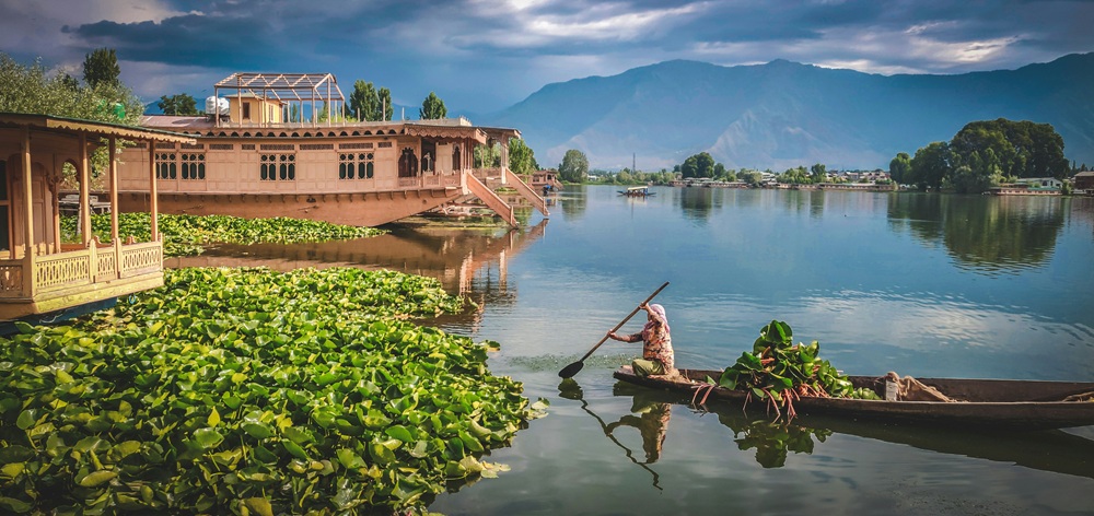 Boat the Dal Lake